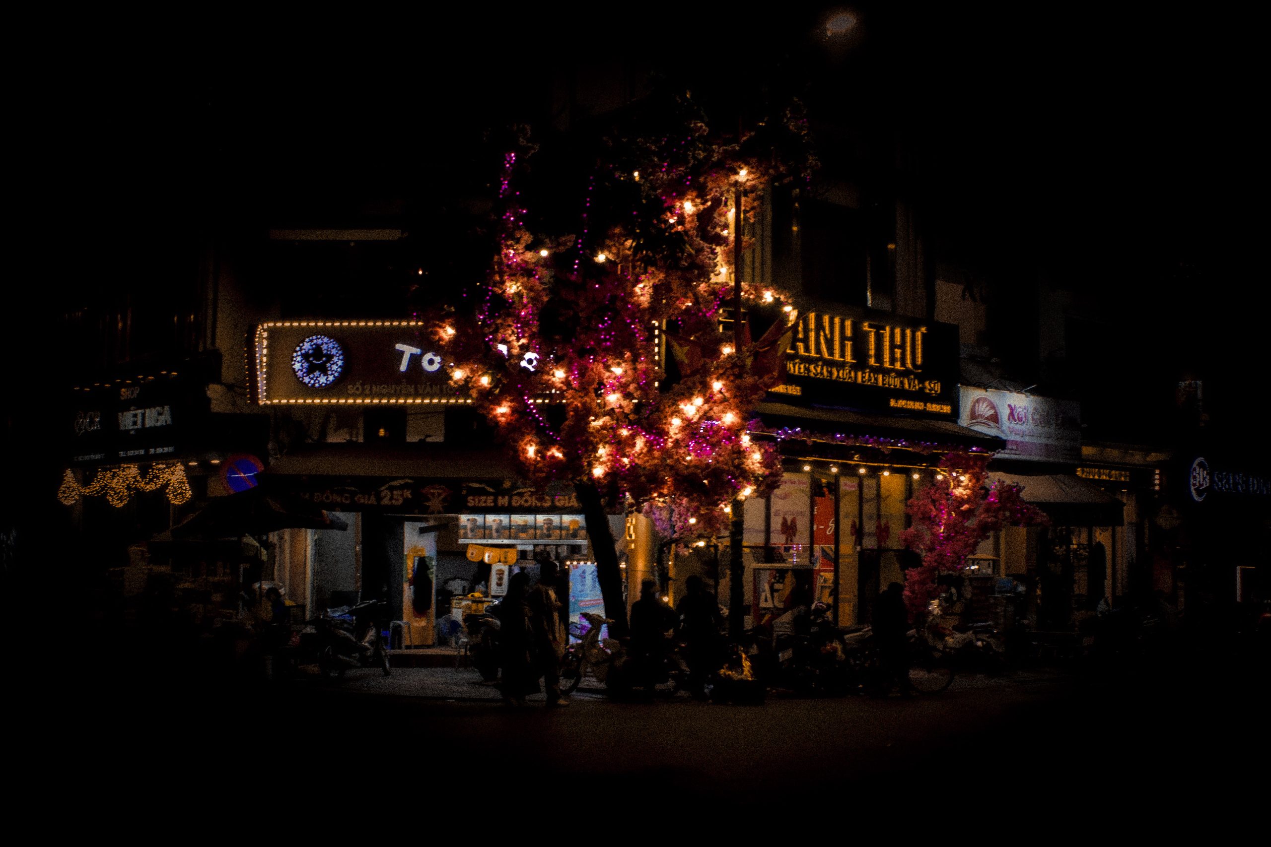christmas-tree-street