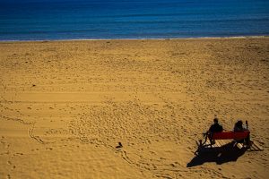 crow-on-beach